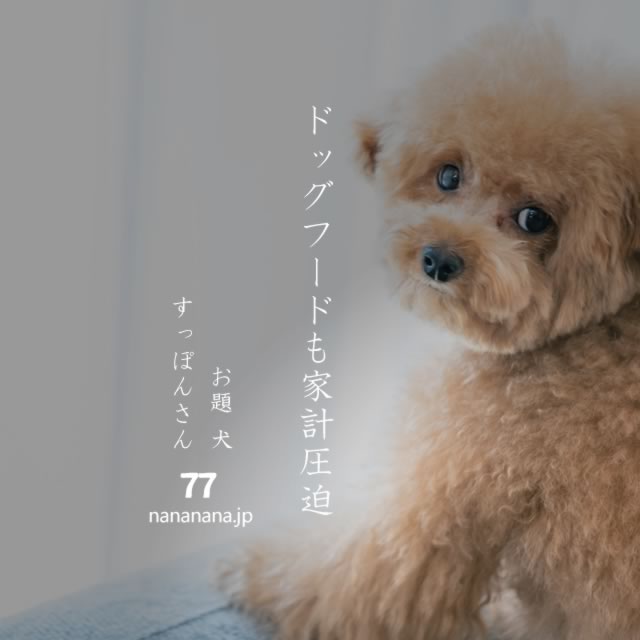 2023年11月1日の一句