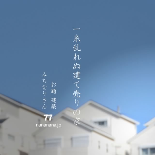 2023年11月11日の一句