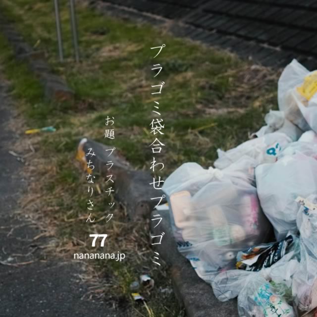 2023年11月14日の一句