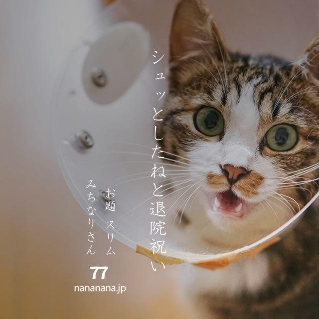 2023年12月26日の一句