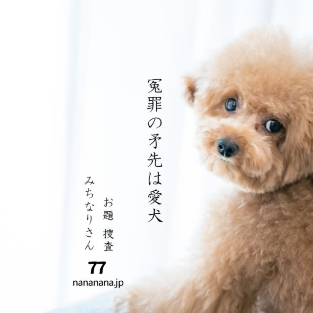 2024年1月15日の一句