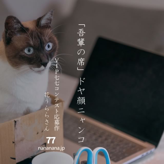 2024年1月24日の一句