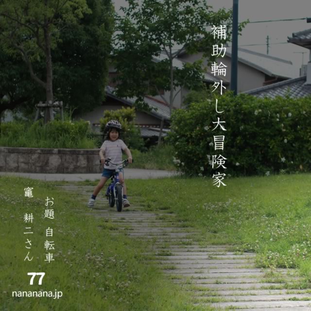 2024年5月5日の一句