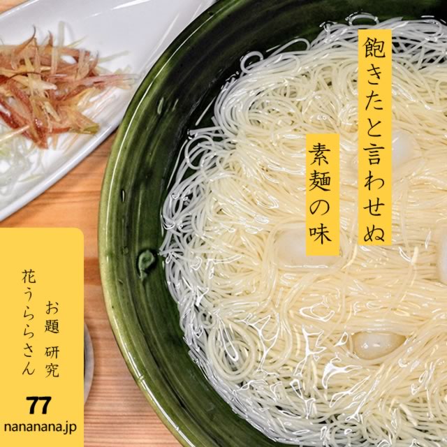 2024年6月13日の一句