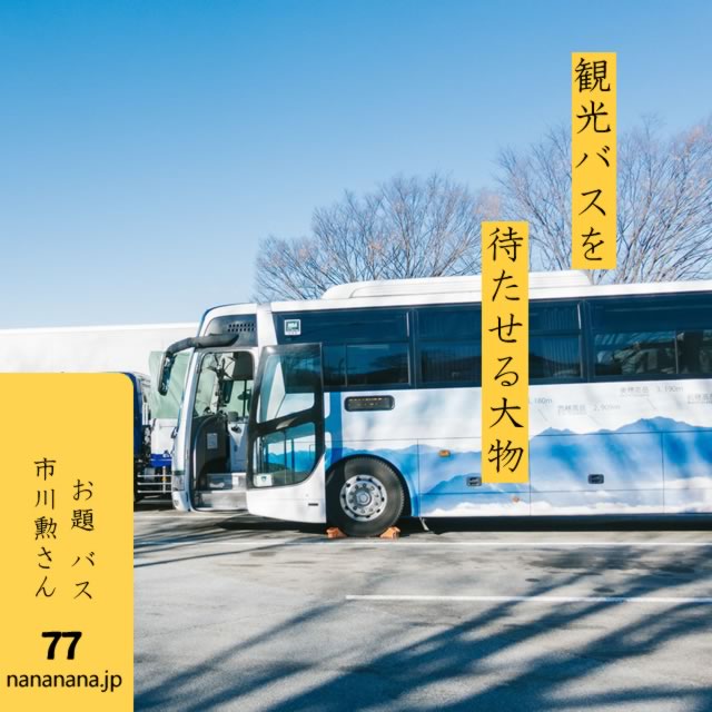 2024年6月29日の一句