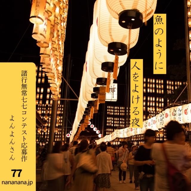 2024年7月9日の一句