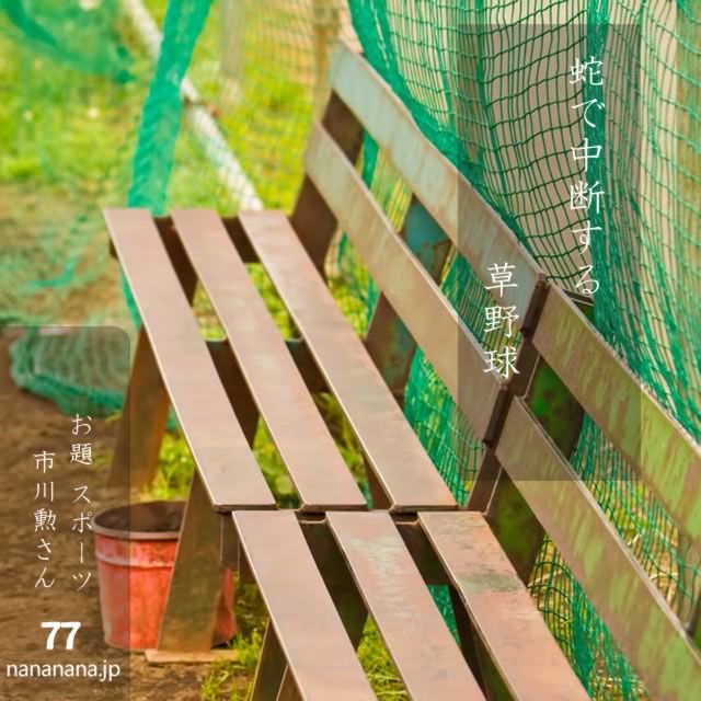 2024年7月23日の一句