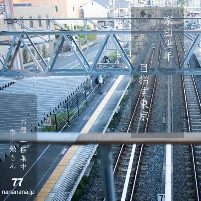 2024年7月25日の一句