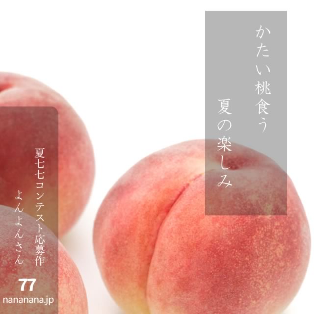 2024年8月7日の一句