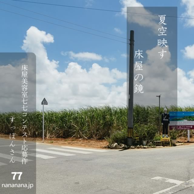 2024年8月11日の一句