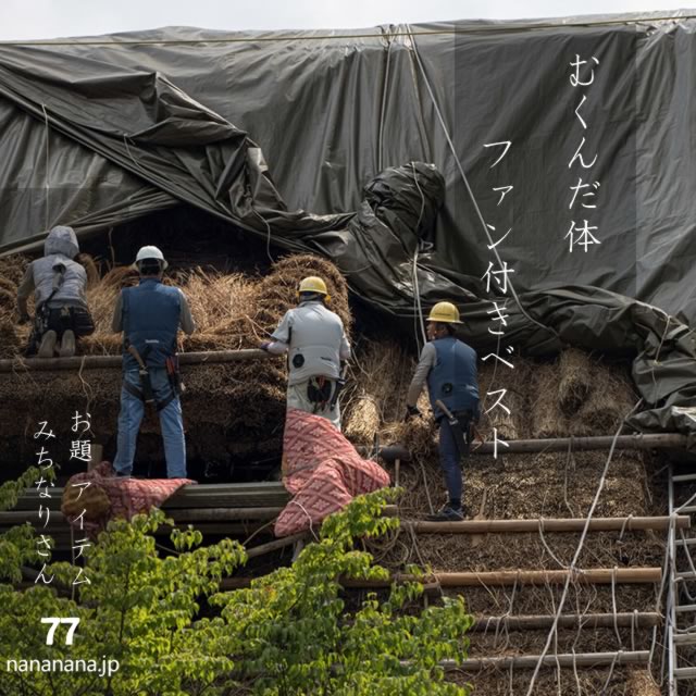 2024年8月12日の一句