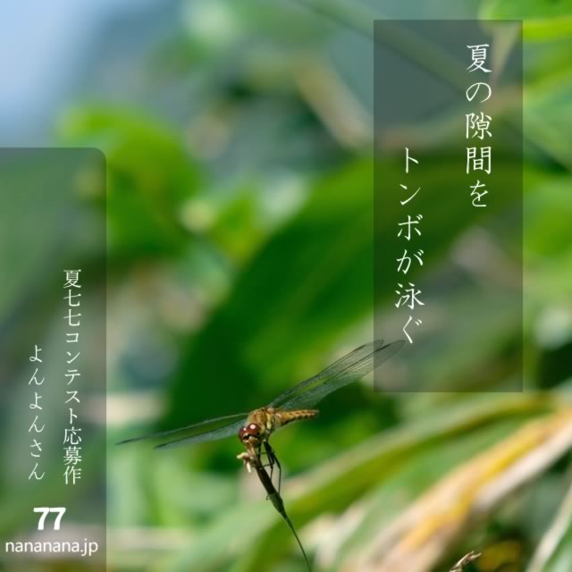 2024年8月20日の一句