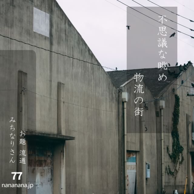 2024年9月1日の一句