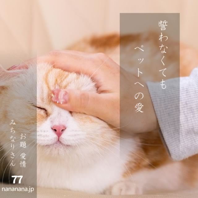 2024年9月5日の一句
