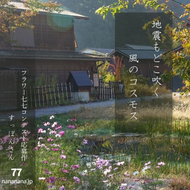 2024年9月11日の一句