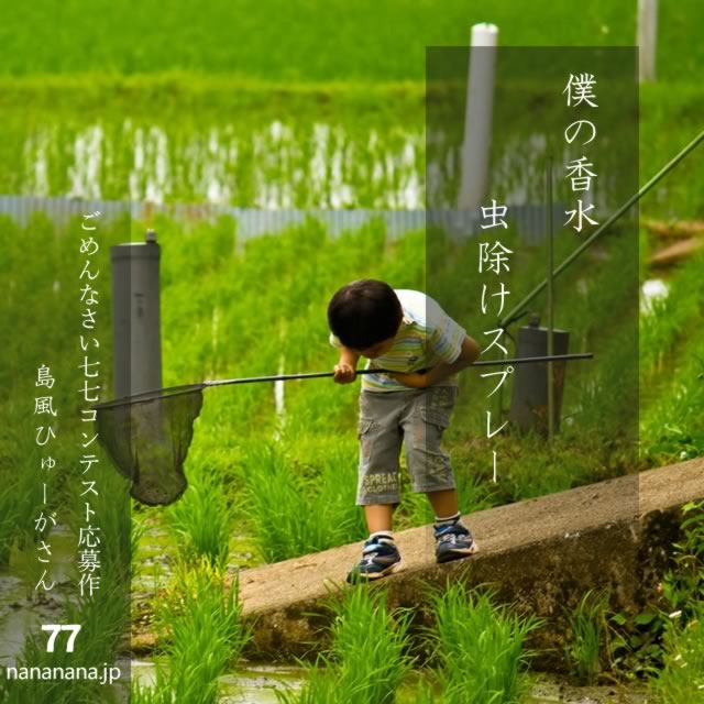 2024年9月13日の一句