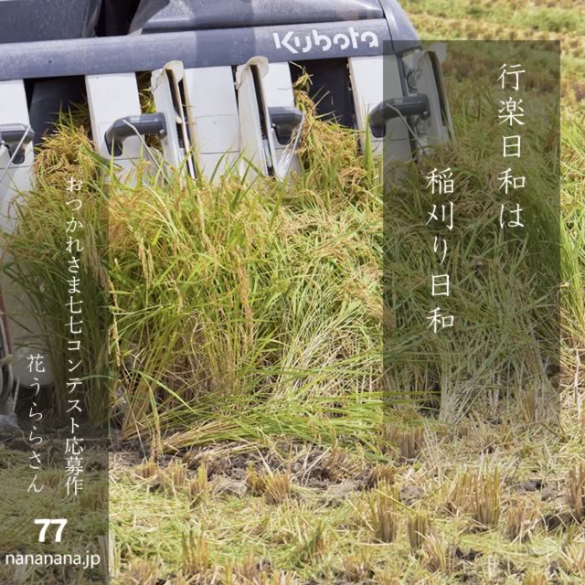 2024年10月14日の一句