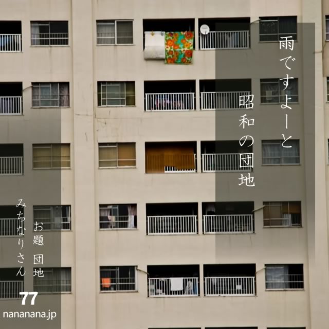 2024年10月25日の一句