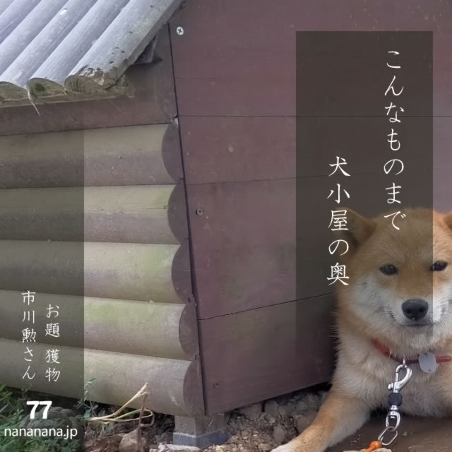 2024年10月27日の一句