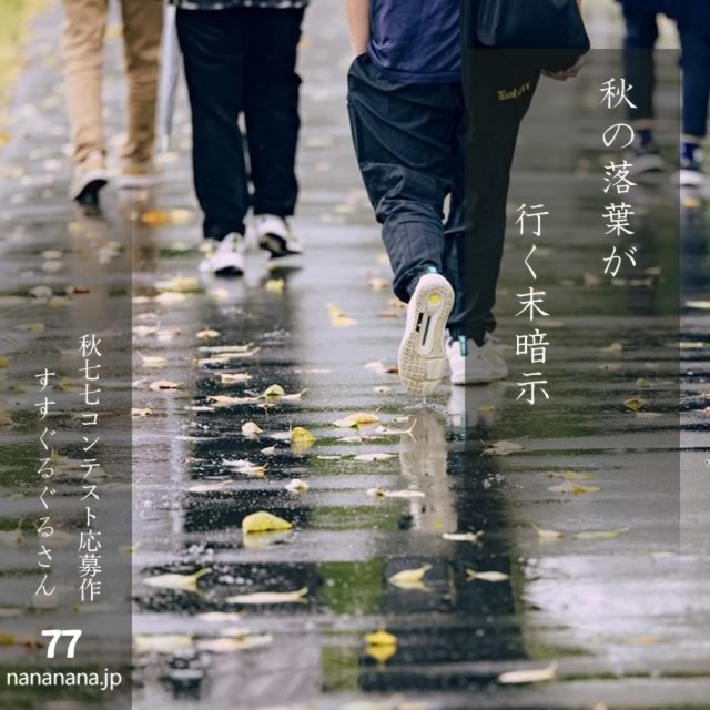 2024年11月5日の一句