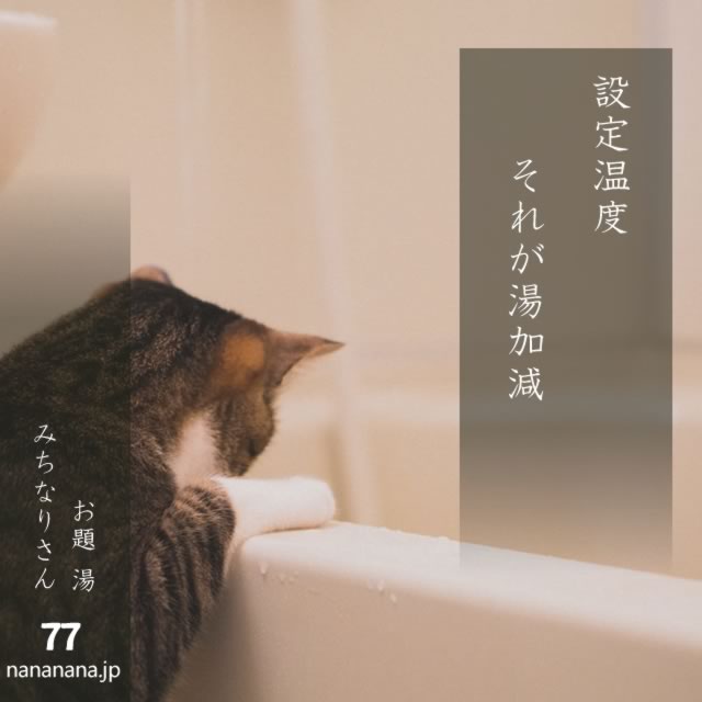2024年11月8日の一句