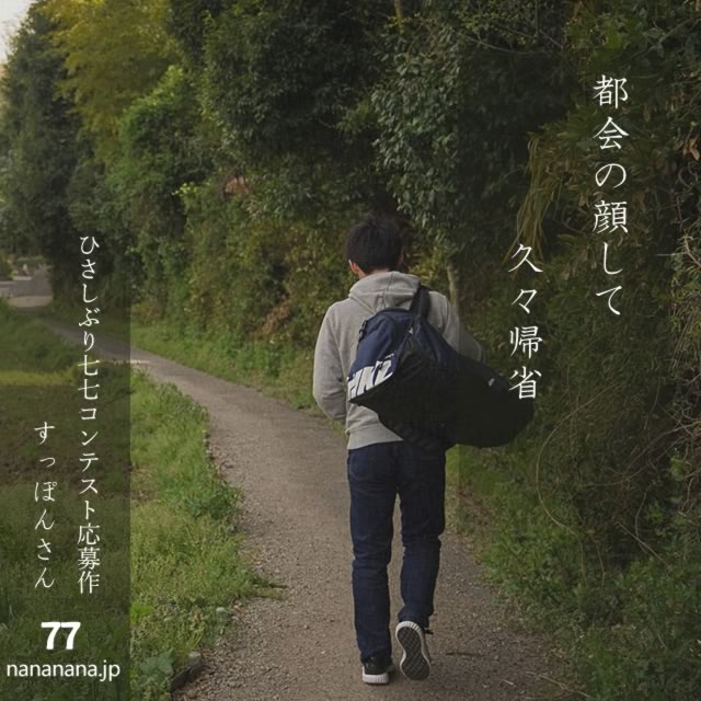 2024年11月11日の一句