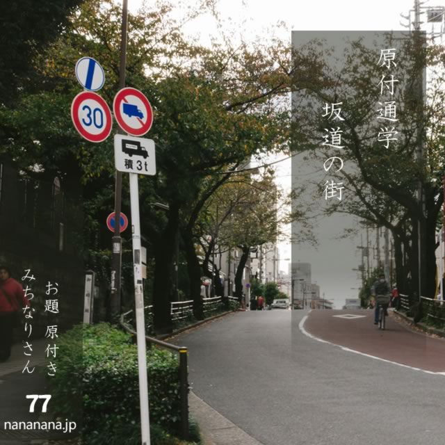 2024年11月14日の一句