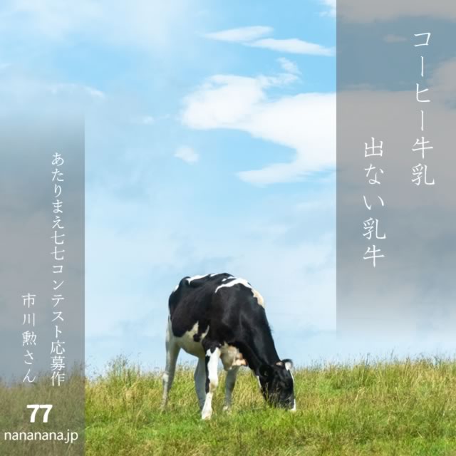 2024年11月18日の一句