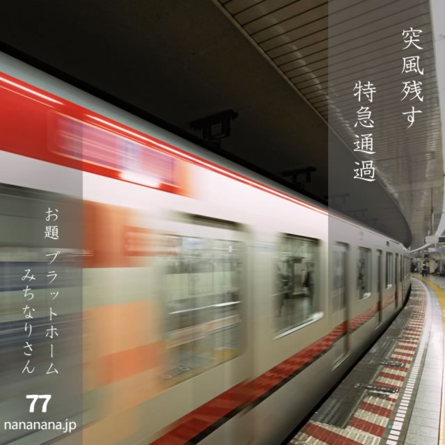 2024年11月19日の一句