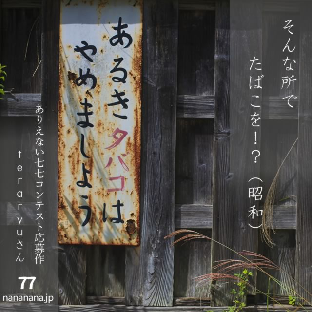 2024年12月9日の一句