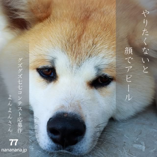 2024年12月10日の一句