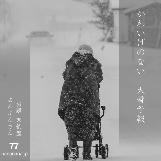 2025年2月16日の一句