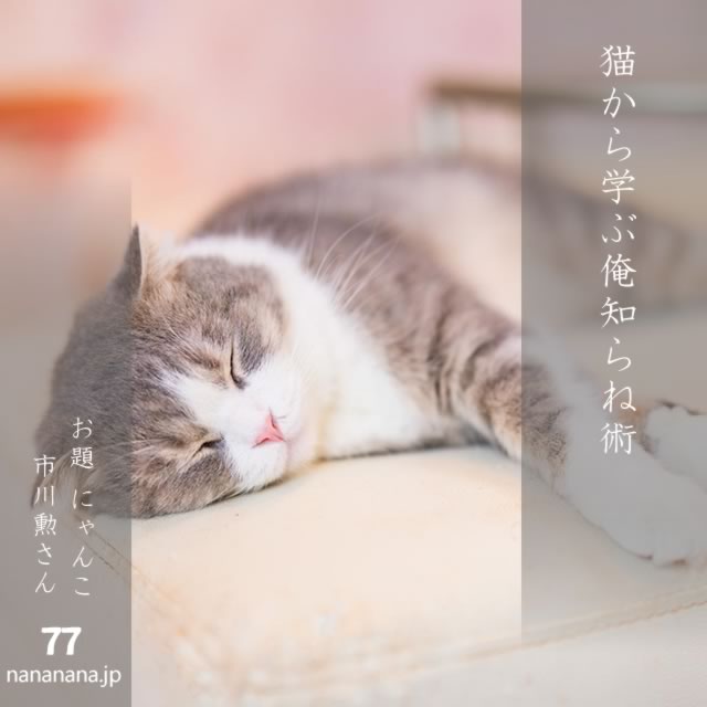 2025年2月22日の一句