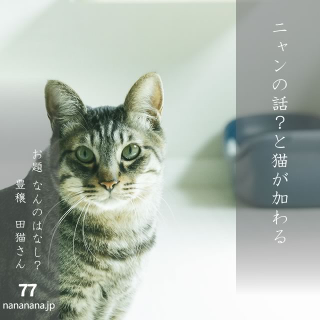 2025年2月27日の一句