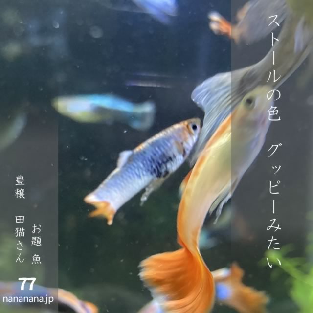 2025年4月13日の一句