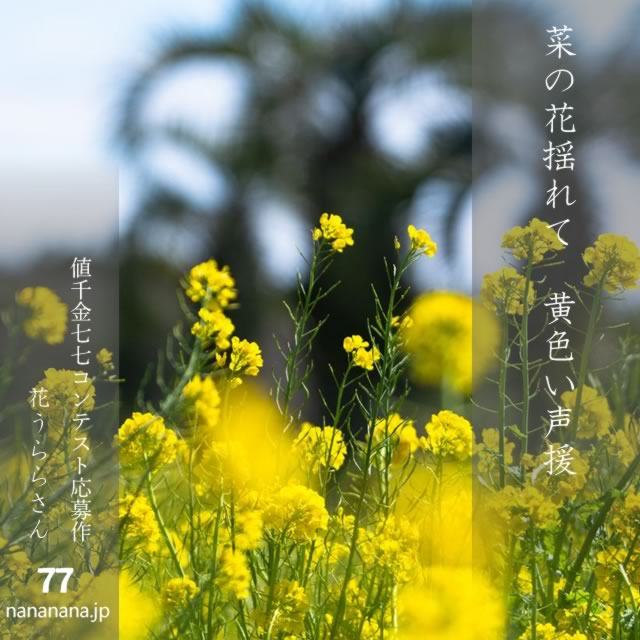2025年4月14日の一句