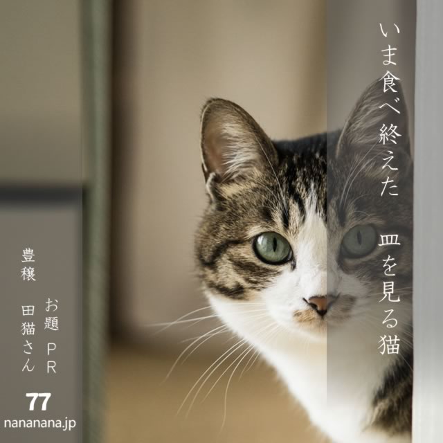 2025年4月21日の一句