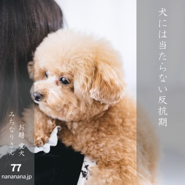2025年5月13日の一句