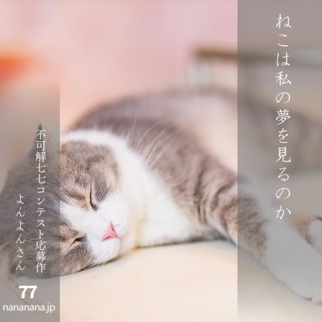 2025年5月14日の一句