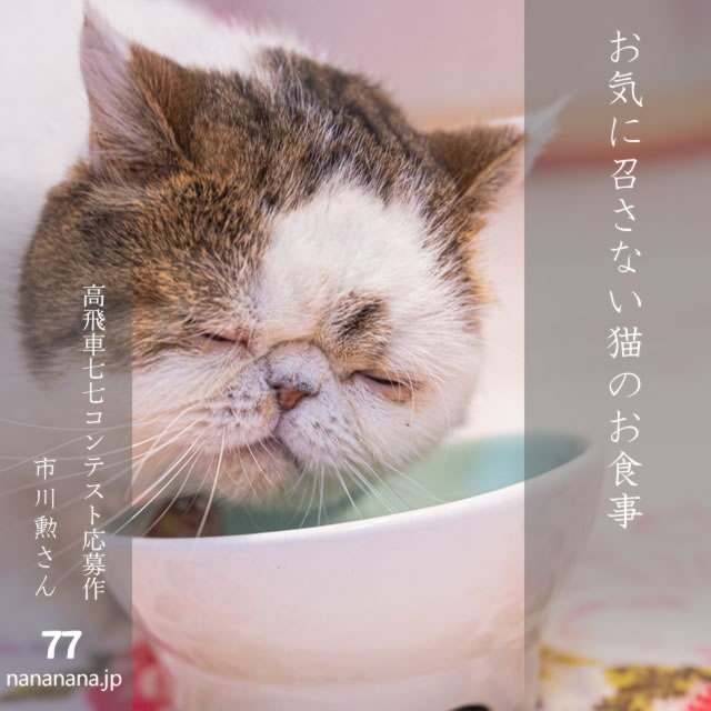 2025年5月22日の一句