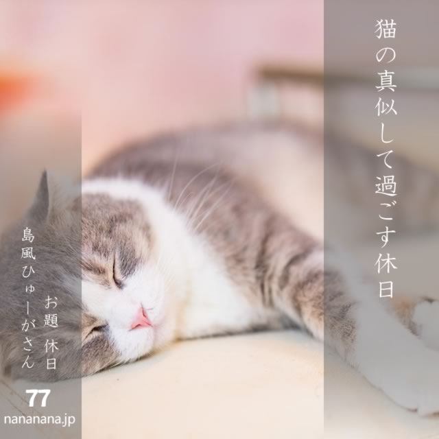 2025年6月7日の一句