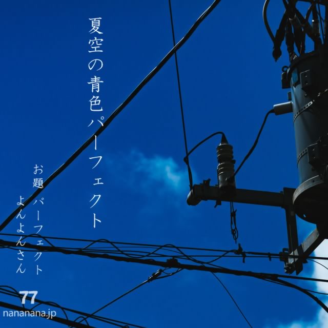 2025年7月22日の一句
