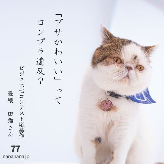 2025年7月25日の一句