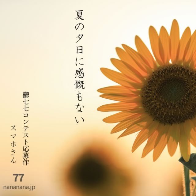 2025年8月3日の一句